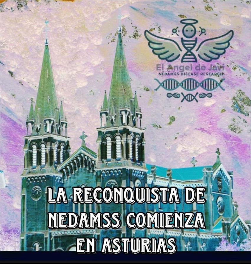 Fondo
